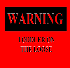 How to sucessfully give a warning to your toddler